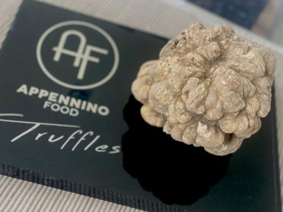A Identità Golose Milano inizia la stagione del Tartufo Bianco Pregiato: menu a quattro mani con Alberto Bettini e Richard Abou Zaki
