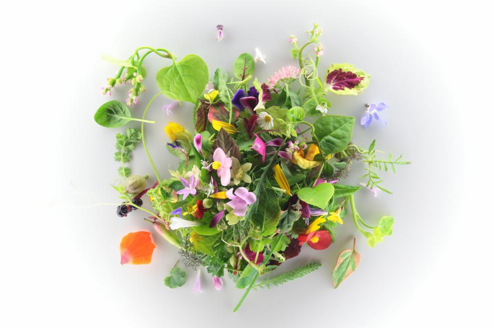 Photogallery






Our dinner at  Villa Feltrinelli, starting from the appetizers. Here Datterino all'arrabbiata (photo by Lido Vannucchi)









Cauliflower gravel (photo by Lido Vannucchi)









Vegetal toast (photo by Lido Vannucchi)









Ravioli with beetroot, salmon and lime (photo by Lido Vannucchi)









Zabaglione and dried sturgeon biscuit (photo by Lido Vannucchi)









Gazpacho with cherries and scampi (photo by Massimo Loda): scampi tails marinated with citrus zest, vegetable crudité and cherry gazpacho









Carpaccio with dehydrated watermelon, ovuli, Parmigiano, lettuce leaves and lettuce cream 









Tutto pomodoro (photo by Massimo Loda)









Tiramisù di porcini (photo by Vincenzo Matteo Lonati), this dish is three years old but is already a classic. It has savoiardi soaked in porcini water, salted mascarpone, cocoa powder and porcini









Raviolo "al verde" (photo by Lido Vannucchi), an extraordinary dish: pasta with chlorophyll filled with wild herbs and goat cheese, seasonal vegetables (blanched chards, asparagus, roasted friggitello) and crushed basil. Incredible vegetal echoes in a rich and elegant first course









Risotto al "corallo": Carnaroli creamed with butter and lobster coral, salmon roe, powdered lobster coral and prawn legs, grapefruit juice. «I was already making butter with lobster coral in the days at Pinchiorri»









Rabbit kidney, taggiasche olives, broth of cod in the style of Ancona, a dish that Baiocco dedicates to his homeland









Barba di rombo: the fattest part of the turbot is roasted and glazed with diavola sauce. It’s paired with a cream of whole wheat bread cooked in vinegar, plus sour cream, shallot, mozzarella water and Sirk vinegar. A fantastic dish









Agnello Dorset Crown: Dorset Crown lamb fillet slowly cooked with oil, butter and herbs, cream of almonds, caper flowers and jus of roasted peppers aromatized with cardamom. Another unforgettable dish, lamb reinvented with an eastern charm






