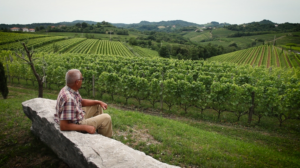 Galleria fotograficaJosko Gravner
Angiolino Maule
Daniele Piccinin
La cantina di Gravner (foto Barsanti)
La serata di presentazione a La Montecchia: Maule, Gravner, Michelon, Hopkins e Piccinin
Vitigni nell'azienda di Piccinin
Foto Barsanti
La cantina Oslavia di Gravner (foto Barsanti)
Lo stango Runk nell'azienda di Gravner (foto Barsanti)
foto Barsanti
Il vigneto Hum di Gravner (foto Barsanti)
Il vigneto Runk di Gravner (foto Barsanti)
Josko Gravner (foto Mocilnik)
Josko Gravner (foto Mocilnik)
Josko Gravner (foto Frullani)
Josko Gravner (foto Barsanti)
Josko Gravner&nbsp;tra le viti
