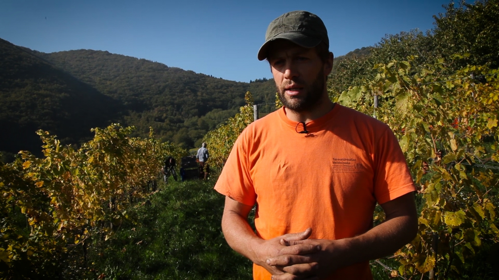 Galleria fotograficaJosko Gravner
Angiolino Maule
