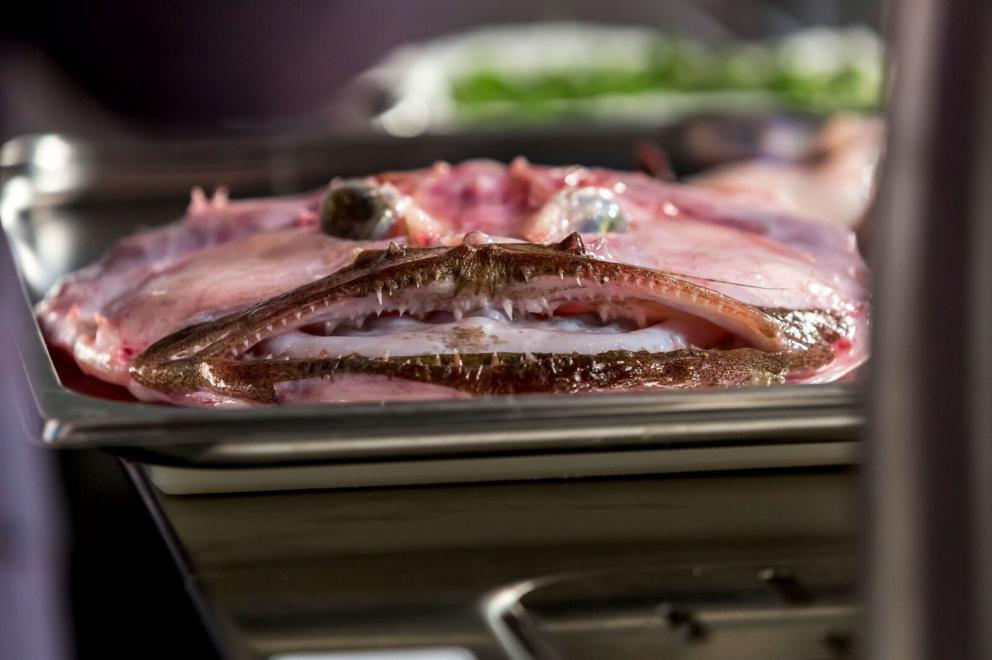 Galleria fotografica






Cinque cartoline balneari. Il primo in ordine cronologico è stato quell’Angelo Sabatelli (nella foto, con l'autore dell'articolo, Andrea Cuomo, ndr) dell’omonimo ristorante che, lasciata Monopoli, sta per riaprire a Putignano









Sabatelli riapre l’album delle fotografie delle sue esperienze in Estremo Oriente (Giakarta, Hong Kong, Shanghai) e avvia l’aggiornamento del programma con tre citazioni pugliorientali: un Allievo di seppia con mandorle e limone (nella foto), un’Incrapiata di fame e cicoria con ostrica tiepida e tonno secco e un Gambero di Santo Spirito, capesante secche e mandorle tostate. Levate l’ancora, si salpi chi può









Due chef hanno lavorato sull’idea di “carnificare” il pesce senza tradirlo, al massimo traducendolo. Il primo è stato Tony Lo Coco, esordiente sul palco di Identità









Lo chef siciliano de I Pupi di Bagheria (Palermo), autodidatta con lo sguardo acceso da una furia feconda, interpreta due piatti della tradizione palermitana: gli anelletti al forno, che lui mette in fila come soldatini a formare dei cannolini schierati su una base rettangolare di ragù di tonno; e la stigghiola, uno spiedino dello street food siculo, in cui all’agnello sostituisce il tonno rosso









Più sussiegoso il viaggio per mare di Paolo Casagrande, lo chef veneto che primo tra tutti ha portato le tre stelle a Barcellona, nel Lasarte che fa parte della collezione di ristoranti mozzafiato di Martìn Berasategui









Con un italiano ormai intinto nello spagnolo Casagrande disegna un’Ostrica tiepida leggermente marinata con granita di shiso verde e pastinaca, avvolta in una schiuma di mare e Champagne (l’assaggio seduce la platea) e una Ventresca di tonno rosso, lime kaffir, crescione e kalamansi al finocchio in crudo e piment d’Espelette (foto). Un tragitto impegnativo solo il nome









Moreno Cedroni nel bagnasciuga ci vive. E con il suo tour operator schedula un viaggio sulla Via della Seta a cui dedica un menu alla Madonnina del Pescatore e al Clandestino di Senigallia









Propone (con assaggio) tre tappe a Teheran (Baccalà, purè abboccato e latte di sesamo), Samarcanda (Dumpling di seppia, brodo di cozze e cumino, nella foto) e Kashgar in Cina (Polpettine con gamberi, spezie degli Uiguri, gambero rosso freddo). Un esercizio di equilibrismo tra consistenze, sapori, temperature. E uno show in puro Cedroni’s style









Giulio Terrinoni di Per Me a Roma, che chiude la sequenza, osa addirittura il “quinto quarto” di mare









Prende una magnifica rana pescatrice, con le interiora attrezza una coppa di testa e una trippa (cotta in un brodo di pecorino, proprio così) che – soprattutto la seconda – davvero non sfigurano di fronte ai format originari. E ci scappa anche un Diplomatico finale, dolce, quasi dolce, anzi no






