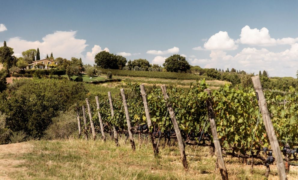 Il Rosso di Montalcino 2021 Biondi Santi: molto più che un fratello minore