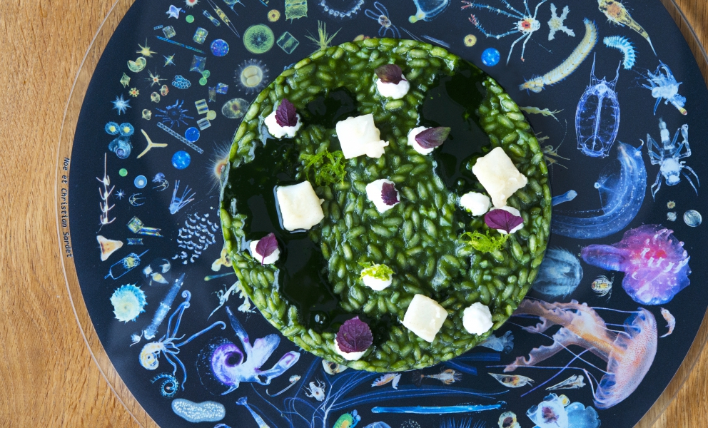 Photogallery






Mario Cornali, Collina, Almenno San Bartolomeo (Bergamo)

Stewed snails from Almenno, fumet of powdered corn from Prato – This dish is the consequence of the meeting with Andrea Togni, a young snail breeder from Almenno. I was inspired by the fact that I had an organic snail farm only two kilometres from home









Antonio Cuomo, Hostaria del Relais San Lorenzo, Bergamo

Dreaming… Cesar salad – We’ve rebuilt a great classic by changing all its textures, with water of Parmigiano, iceberg salad ice cream and confit tomato mousse









Giuliano Pellegrini, Lio Pellegrini, Bergamo

Salad with tripe, tuna, fried polenta, cucumber and white beans from Soragna – Tripe is a dish I wanted to change because I always had a good memory of it. My grandmother Alice made an excellent tripe stew...









Antonio Borruso, Umami, Bormio (Sondrio)

Neve al sole [Snow in the sun] – A dessert uniting saffron, litchi and a white chocolate mousse









Enrico and Roberto Cerea, Da Vittorio, Brusaporto (Bergamo)

Steamed king crab with hazelnut praliné and bottarga – An intriguing and delicious dish, where the white and reddish meat, firm and as sweet as honey, is finely matched by the sapidity of bottarga, much rougher and stronger. All this paired with the fattiness and crispiness of the best hazelnut in the world, the tonda gentile from Cortemilia









Nadia and Giovanni Santini, Dal Pescatore, Canneto sull'Oglio (Mantua)

Mountain potato cream with poached eggs, tuna bottarga, asetra royal caviar and capers – A great dish from Dal Pescatore’s tradition yet conceived and prepared by the new generation in the kitchen, that is to say by Giovanni Santini – photo by Culinaire Saisonnier-Dirk Kerstens









Enrico Bartolini, Devero, Cavenago di Brianza (Monza Brianza)

Risotto Arlecchino – Sauce below, rice on top. A return to the Baroque with a modern interpretation









Daniel Facen, Anteprima, Chiuduno (Bergamo)

Tuna salad with sour egg, purple potatoes and olive oil – It’s like a Salad Niçoise in which the tuna is seared and then cooled in water and ice. The purple potatoes have different textures, in pieces, as a small purée and dehydrated. The tomatoes are confit, the French beans are cooked with ultrasounds, the egg in vinegar and the oil is in a sugar capsule, with anchovies from the Cantabrian Sea









Davide Oldani, D’O, Cornaredo (Milano)

Milanese style apple marrow – Because it represents the tradition of a Milanese “dish” but with the lightness of good modern cooking









Stefano Cerveni, Due Colombe, Corte Franca (Brescia)

Warm spaghetti, scampi, sweet paprika and Calvisius Tradition caviar – Luxury and flavour in a dish full of careful simplicity. The service temperature at 40°C enhances the aromas of and the pleasure to the highest level









Fabio Abbattista, Leone Felice de L'Albereta, Erbusco (Brescia)

Lavarello alla mugnaia, tofeee di cavolfiore e calamondino - This dish is today the most explicit declaration of my cuisine: after 2 years discovering the territory of Franciacorta and thanks to the special relationship developed with <strong>Ferdinando Soardi</strong>, a fisherman in Monte Isola, I chose to give voice to the extraordinary freshwater fish, in this case lavaret









Silvio Salmoiraghi, Acquerello, Fagnano Olona (Varese)

Stewed sturgeon – We love this dish made with sturgeon because it represents the use of freshwater fish in Italy. It’s a version of the sturgeon prepared in Ferrara









Riccardo Camanini, Lido 84, Gardone Riviera (Brescia)

Double buttons with ricotta, anchovies, lemon and turnips – This dish appeared in the menu two weeks ago: it is minimalistic, simple, clean. It offers the classic flavour of ricotta, lemon and anchovies but doesn’t play only with the roundness because it includes the “crispiness” of the turnips. These vegetables, by nature, have irregular fibres; this irregularity can thus be sensed when chewing, and it’s unusual. It’s a double button because it has one slice of turnip below and one on top, and in between there’s the button which is visible – between the translucent slices of turnip – and ready to burst in the mouth









Stefano Baiocco, Villa Feltrinelli, Gargnano (Brescia)

Piglet from Orvieto "alla diavola" – With a cream of wild herbs. The palate is intrigued by the fat and acid notes, the bitter leaves and the spicy touches, the soft and crispy parts...









Fabrizio Ferrari, Al Porticciolo 84, Lecco

Pache Felicetti, grilled scarpette, armoricaine sauce, puntarelle, dried sweet potato and powdered tarragon – Fireworks for the palate lasting all year long!









Alberto Buratti, Koinè, Legnano (Milan)

Rice spaghetti in cagnone – A local classic, cagnone becomes the seasoning for homemade rice spaghetti









Marco Ambrosino, 28 Posti, Milan

Chiajozza – Squilla mantis, oil aromatised with maritime pine tree, sea urchin ice cream, cabbage. A symbol of my origins (Chiajozza is the bay in Procida where I was born)









Vittorio Fusari, Al Pont de Ferr, Milan

Smoked eel from Cabras, daikon, beetroot essence and hazelnut brittle – A recipe from the new menu in which I wanted to enclose my themes. I choose an ingredient, namely eel from Cabras, which comes from sustainable farms, an important form of virtuous economic development. I then use the small agricultural products from the Parco Sud Milano, an agricultural format that is awakening, safeguarding land. Food is the first medicine and daikon is an emblem of this






