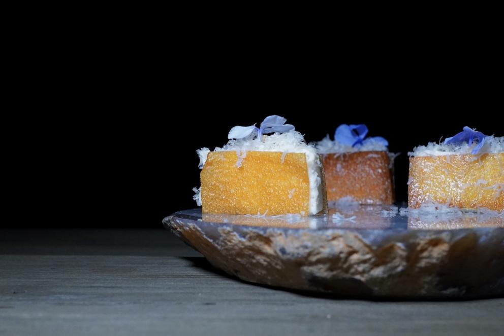 Galleria fotografica



