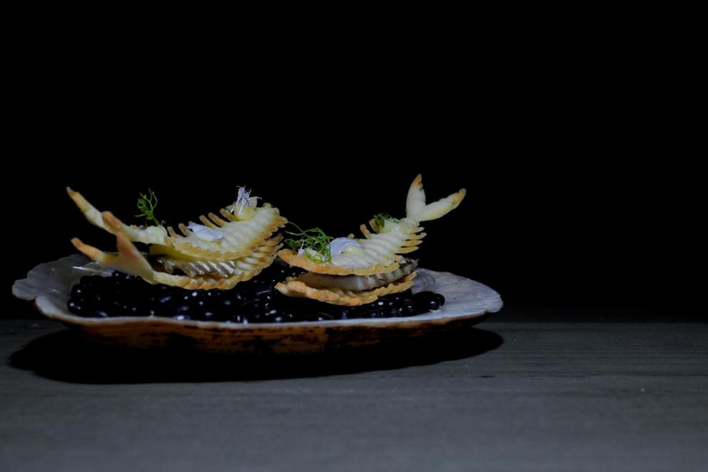 Galleria fotografica






Sandwich di ragusano









Insalata liquida, crema di avocado e pistacchio






