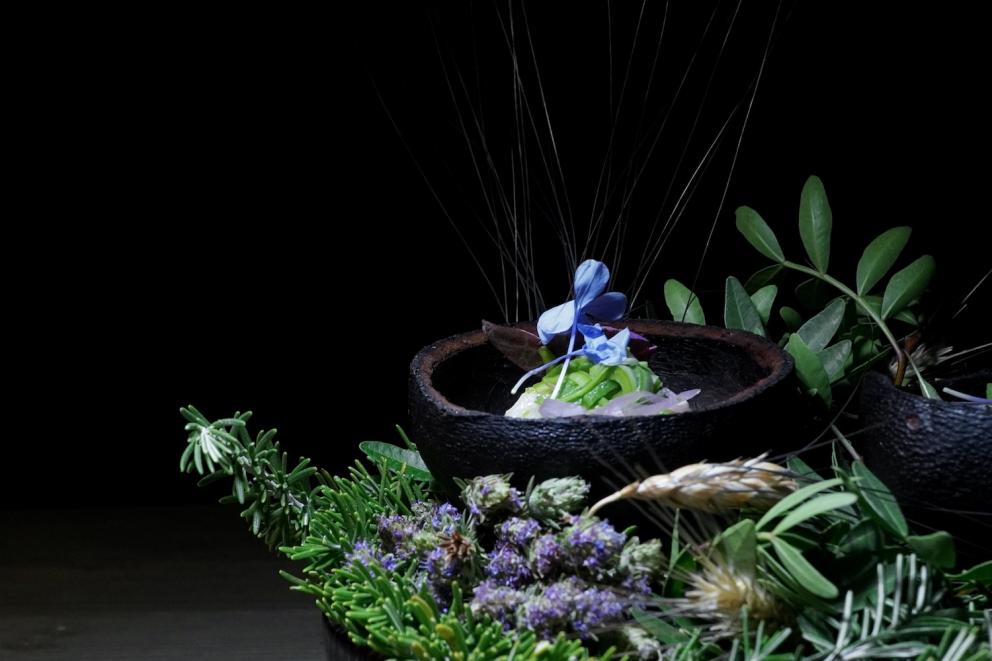 Galleria fotografica






Sandwich di ragusano









Insalata liquida, crema di avocado e pistacchio









Finta lisca di alici con burro affumicato









Polpettina di baccalà, maionese agli agrumi e ravanello









Pomodori e bottarga









Carpaccio di aguglia imperiale, limone fermentato, sale, erbe dell'orto e salmoriglio






