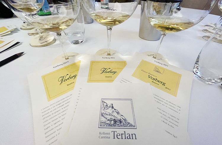 Il viaggio di Terlano nel Pinot Bianco: dal Vorberg al Rarity, il segreto è la longevità