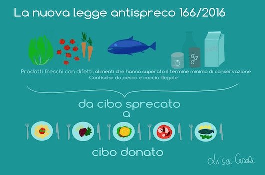 In an incredibly short lapse of time, the new Italian anti-waste law, avantgarde in Europe, has become effective. Lisa Casali explains to Identità Golose what it is and how it works. The illustration is by Lisa Casali