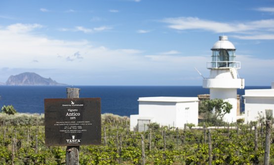 Il ritorno di Capofaro: dopo un anno di pausa riapre il wine relais di Salina. E presenta molte novità