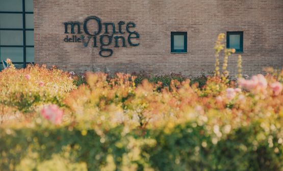Monte delle Vigne, i vini della provincia di Parma che rilanciano il territorio