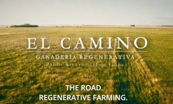 Pablo Rivero: regenerative farms is 'the Cammino' to follow 