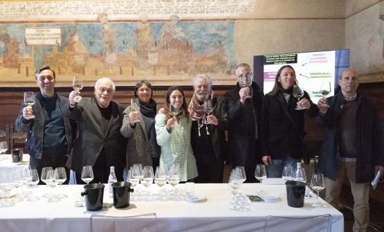 Vernaccia di San Gimignano: i migliori assaggi 2020 e 2021