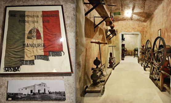 Produttori di Manduria: storie di identità, comunità, territorio