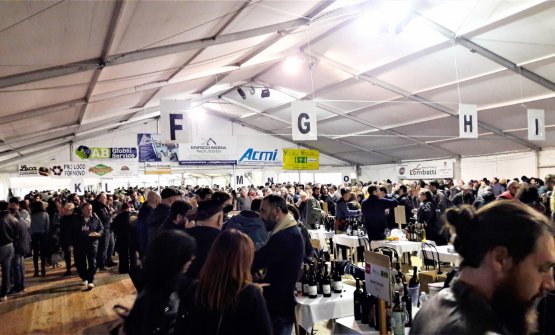 Vini di Vignaioli, tra cultura del vino e lettura del territorio