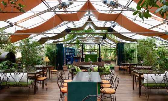 Sorseggiare un cocktail e mangiare un piatto in una splendida serra di Firenze