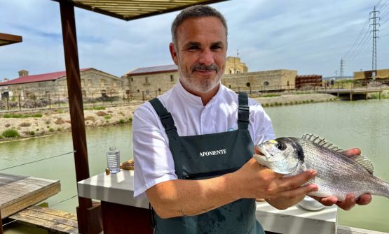 Aponiente, il rito della morte