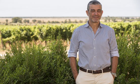 Tornano le Anteprime di Toscana del vino: «Un segnale di ripresa»
