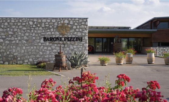 Barone Pizzini, 30 anni di viticoltura biologica in Franciacorta tra ricerca agronomica e sostenibilità ambientale