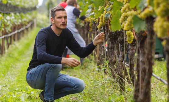 Cantina Sankt Pauls: il nuovo Pinot Bianco Kalkberg racconta i suoli calcarei