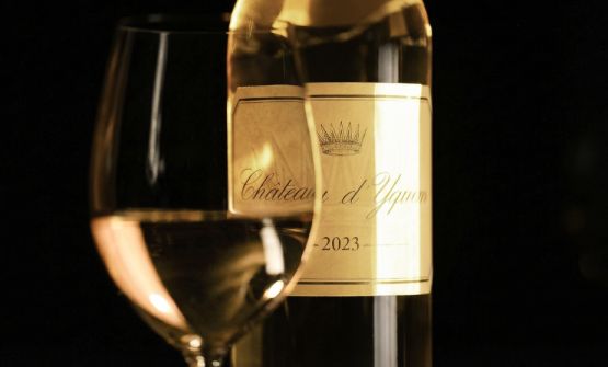 Château d'Yquem 2023: l'apoteosi di un millesimo destinato alla storia