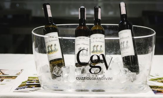 Vino in crisi d'identità? La ricetta Cuzziol per crescere tra le incertezze