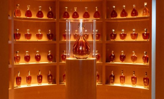 Grappa, angeli e diavoli: a Mombaruzzo, la rivoluzione gentile della famiglia Berta