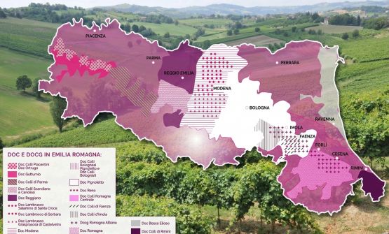L'Emilia-Romagna dei vini: «Siamo contemporanei. E ce n'è per tutti i gusti»