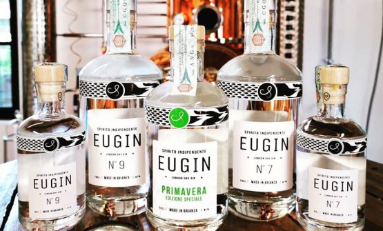 Eugin Distillatori Brianzoli