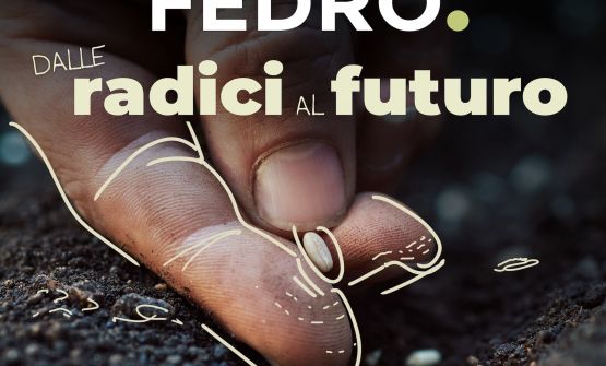 Fedro a Identità Milano: scelta di autenticità e distribuzione in tempo reale