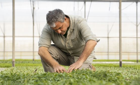 Chi è l'agronomo che lavora con un resort di lusso per tracciarne una nuova identità