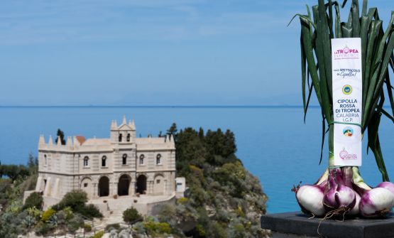 Cipolla rossa di Tropea Calabria IGP: l’oro rosso di Calabria che profuma di futuro

