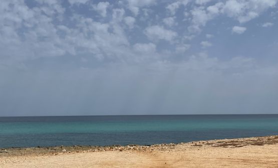 Vista dall'Area Marina Protetta e della Riserva Naturale di Torre Guaceto