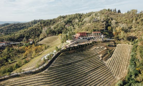 (Almeno) 5 buoni motivi per fermarsi al Nordelaia, a Cremolino (Alessandria)