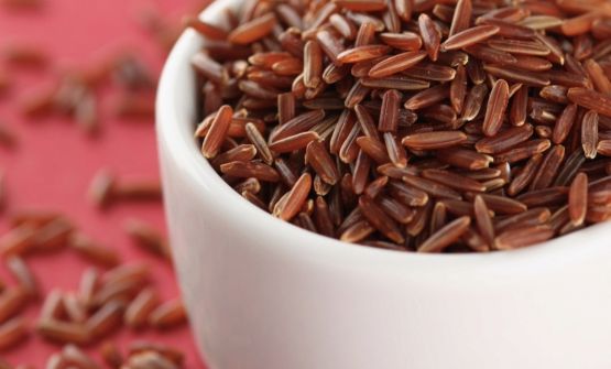 La rinascita di sua eccellenza il riso nelle terre di Calabria, Sicilia e Sardegna