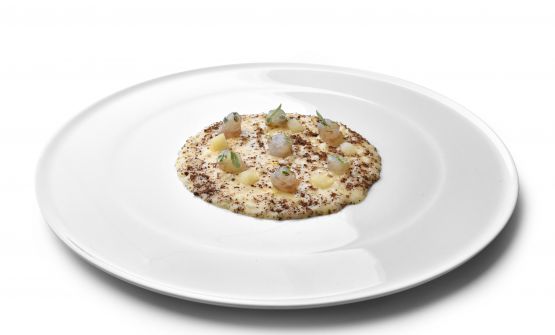 Ginepro e gambero gobbetto ispirano l'estate di Nicola Gronchi