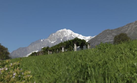 Ai piedi del Monte Bianco, per degustare i vini estremi di Cave Mont Blanc