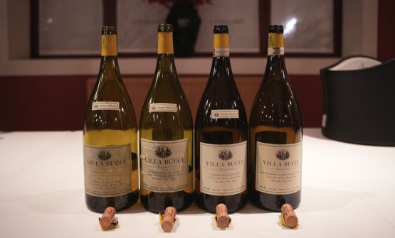 Al Cavallino di Maranello una verticale di Villa Bucci racconta 20 anni di Verdicchio