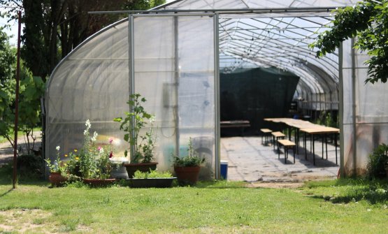 L’Orto Felice della famiglia Romanelli: salvaguardare la biodiversità per un cibo che cura