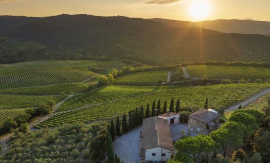 Il nuovo corso di Pinino. E il Rosso di Montalcino è un bel biglietto da visita