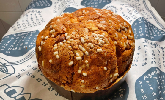 Gastronomia Yamamoto a Milano, dalla cucina casalinga giapponese al panettone