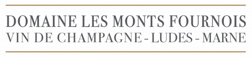 Champagne Les Mounts Fournois