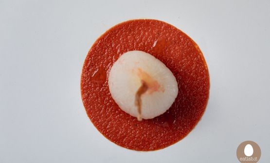 L'estate a tavola: la Cipolla del sugo di Daniele Citeroni Maurizi
