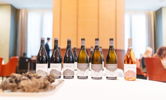 Un decennio di eccellenza per la collezione DI SEI dell'azienda etnea Palmento Costanzo