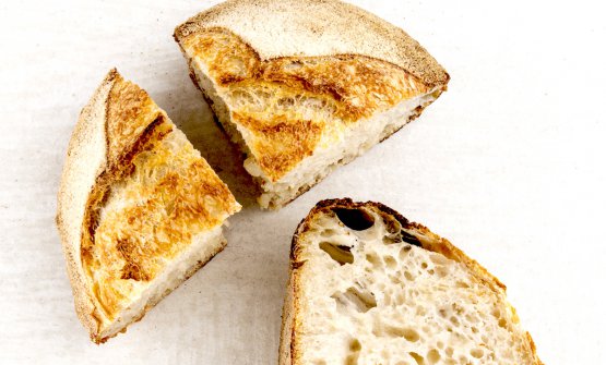 Altri Grani Altri Pani The Bread Bible - 