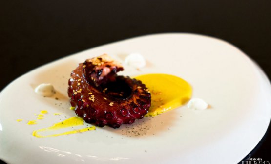 Polpo con hummus di ceci e yogurt