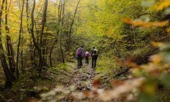 Lungo la Romea Strata: da Rovereto a Schio, tappe golose... seguendo l'acqua