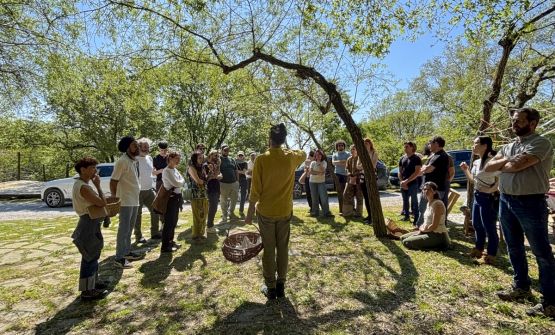 Erbe selvatiche, pane, cucina e comunità: sul Trasimeno con Alessandro Di Tizio