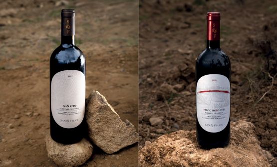 San Felice e il progetto suoli: alla scoperta dell'identità del Chianti Classico