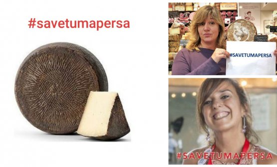 L'appello di Giacomo Gironi e quelli di Stefania Petrotta e Cristina Barbera