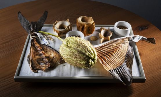 Le spine come linguaggio: la visione di Moreno Cedroni tra tecnica e pensiero